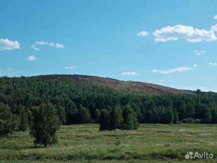 Поездки в Аркаим из Тюмени