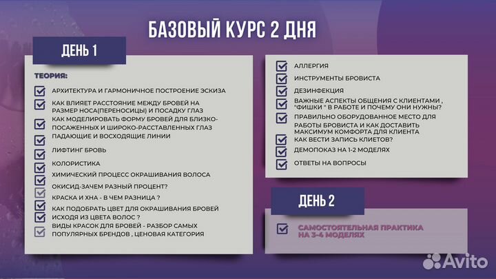 Курс Бровист