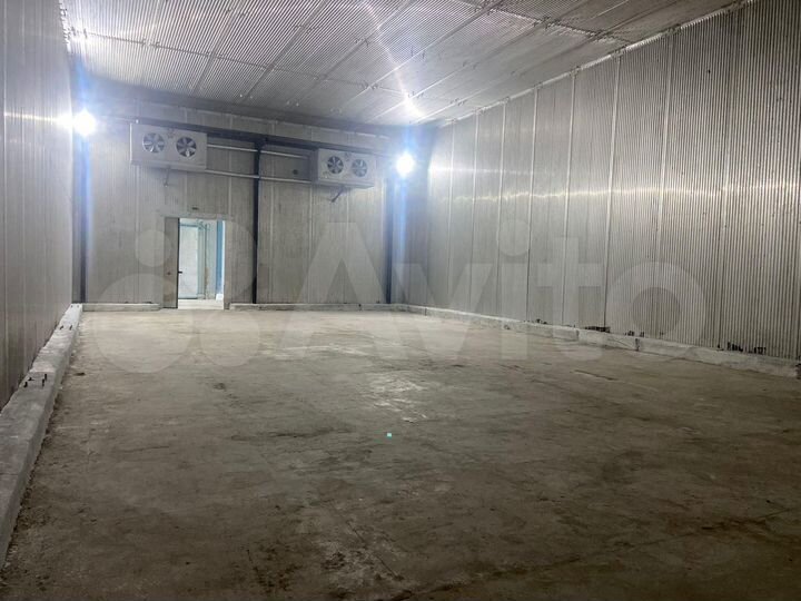 Холодильные камеры (склад), 280 м²