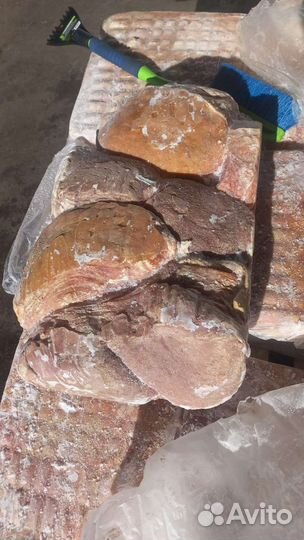 Вымя говяжье. Корм для собак