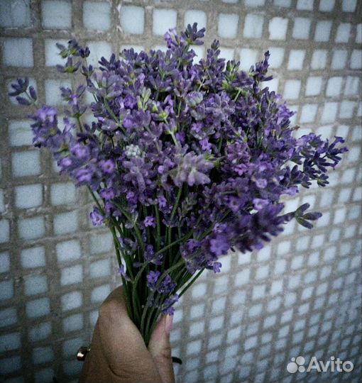 Лавандовое саше
