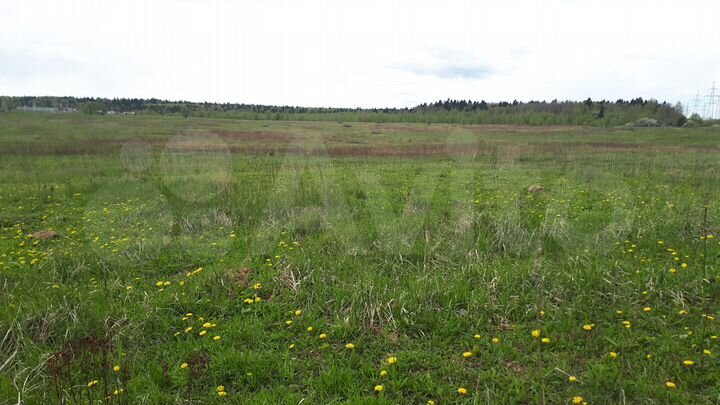 Участок 40 га (СНТ, ДНП)
