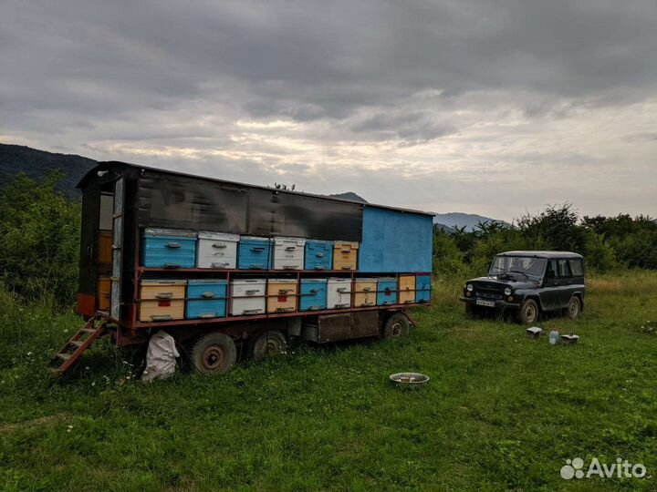 Павильон для пчел и УАЗ