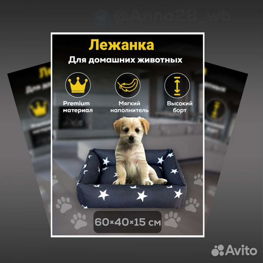 Инфографика дизайн карточек
