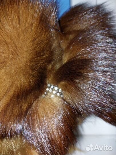 Шапка Соболь берет соболь Шапка меховая р.56