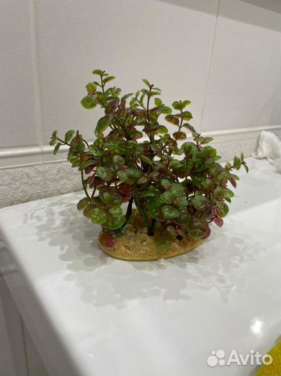 Растения для аквариума искусственные