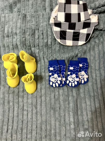 Собачьи вещи