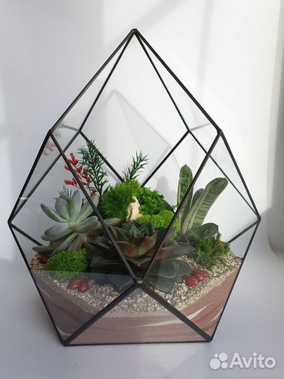 Флорариум моссариум