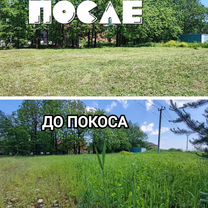 Спил деревьев, покос травы, расчистка участков, Краснодар