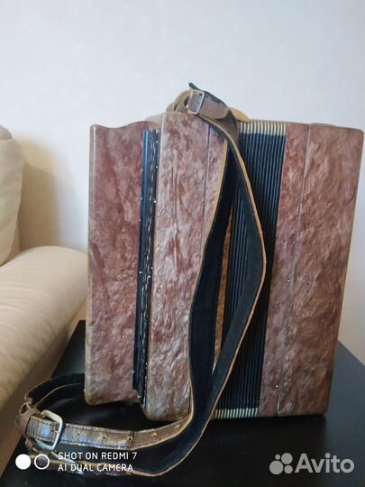 Баян тула 202