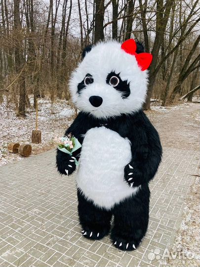 Аэрокостюм надувной Панда, ростовая кукла 2м