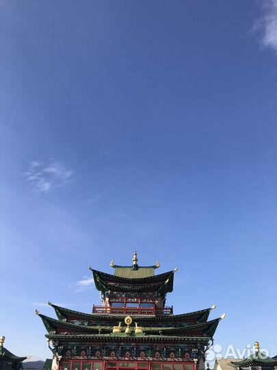 Котята в добрые руки мальчики