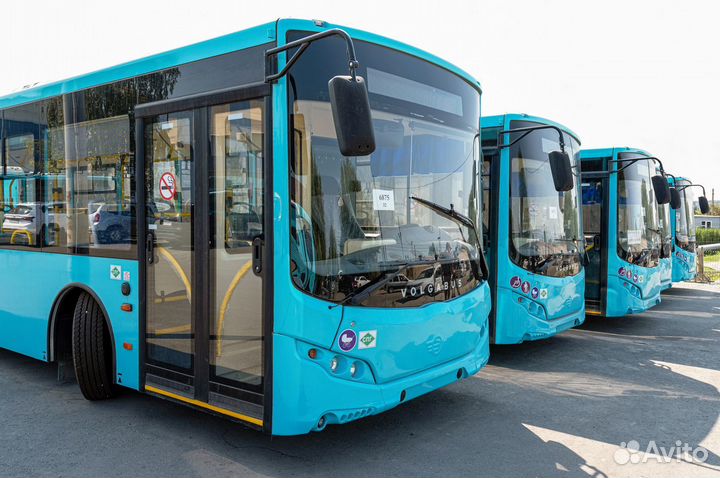 Водитель автобуса