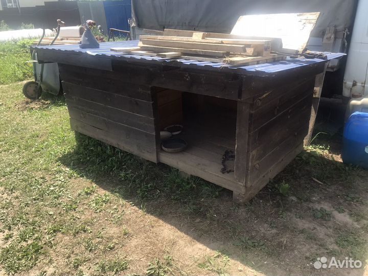 Собачья будка