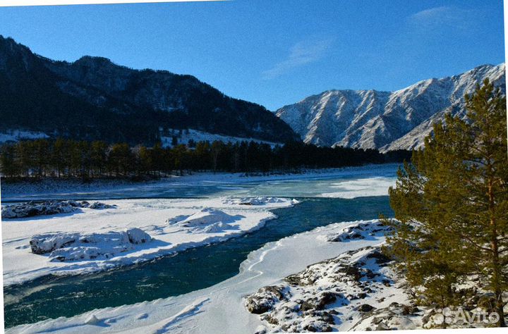 На Алтай зимой путевка экспедиции до 7 дн