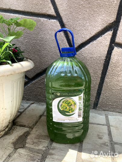 Хлорелла для водоемов