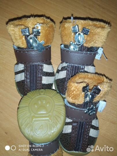 Обувь для собак