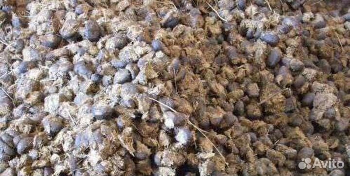 Навоз конский в мешках