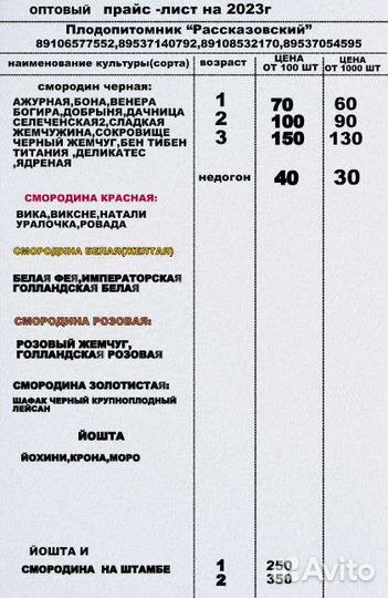 Смородина, йошта