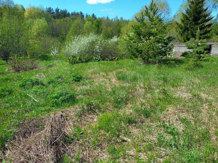 Участок 6 сот. (СНТ, ДНП)