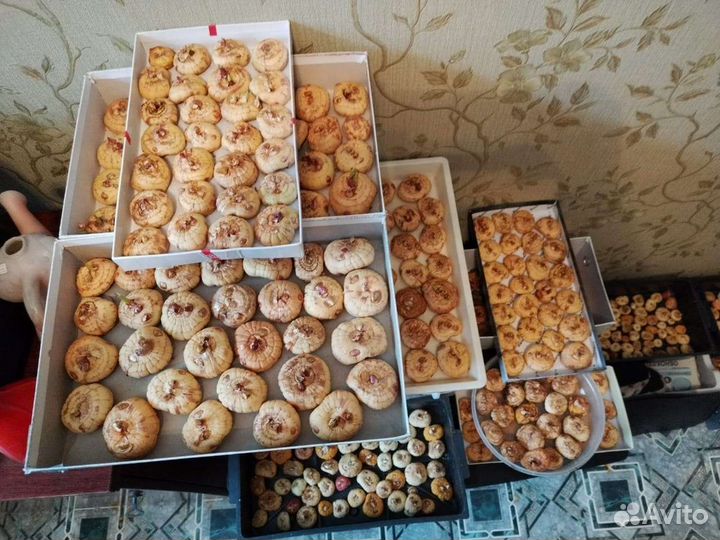 Гладиолусы луковицы
