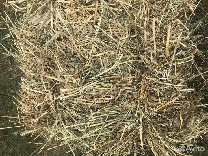 Солома рисовая, есть перемешка с камышом