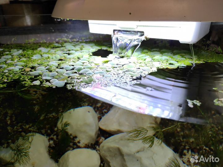 Аквариум Newa More NMO 50W Daylight LED 45 л