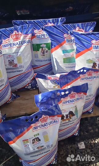 Корма для животных