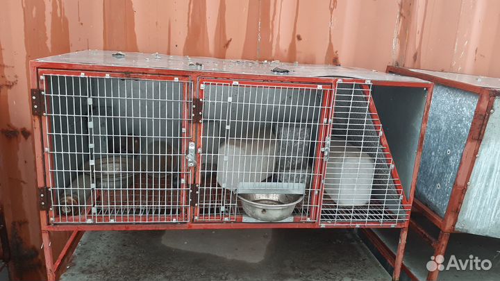 Клетка для кроликов,для звероводства