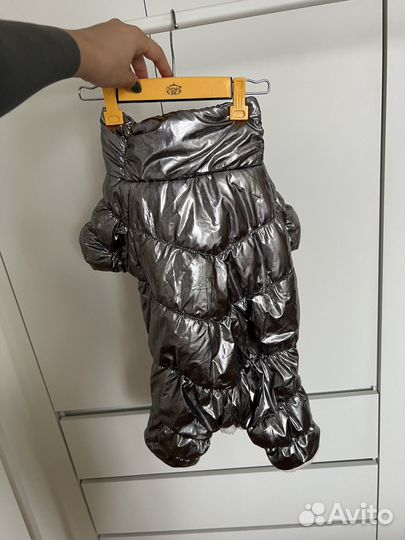 Комбинезон для собаки