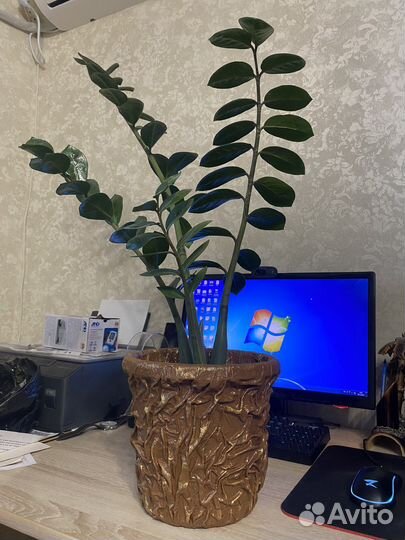 Кашпо горшок для цветов