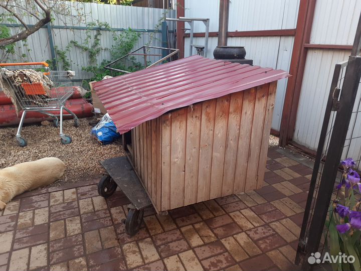 Будка для собаки бу