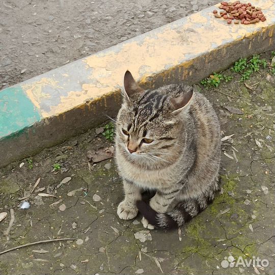 Красивый мальчик в добрые ручки