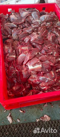 Продам мясо говядина каждый день свежее
