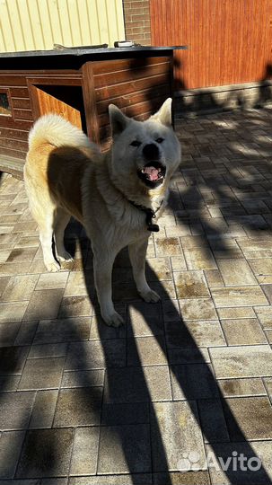 Тротуарная плитка Ландхаус от 120 м2