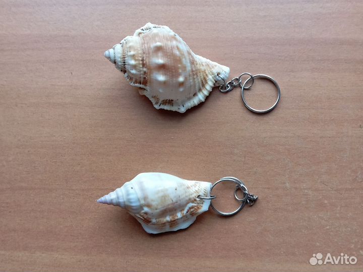 Ракушка сувениры