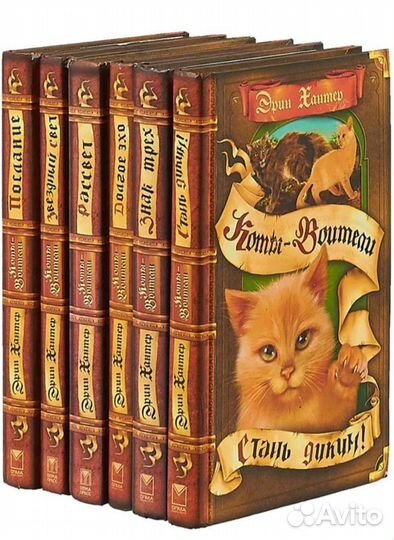 Коты воители.Начало Выбор