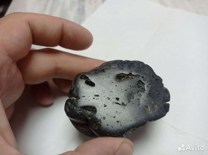 Метеорит предположительно органического состава