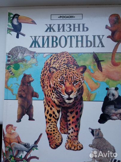 Жизнь животных 