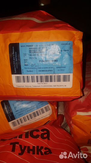 Семена подсолнечника гибрид