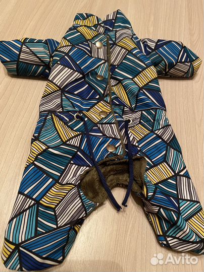 Костюм для маленькой собаки