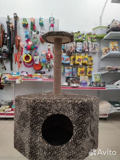 Когтеточка домик для кошки и туалет