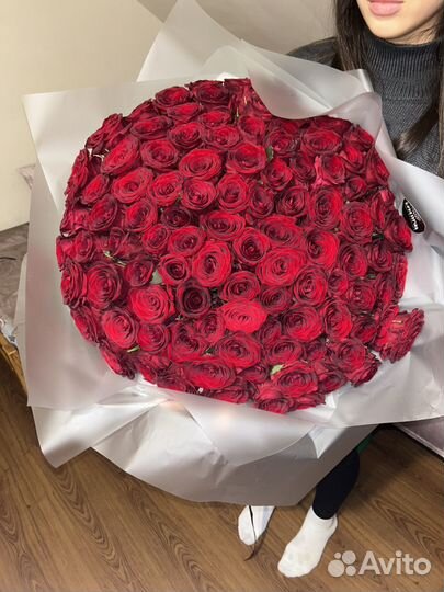 Букет 101 роза красная