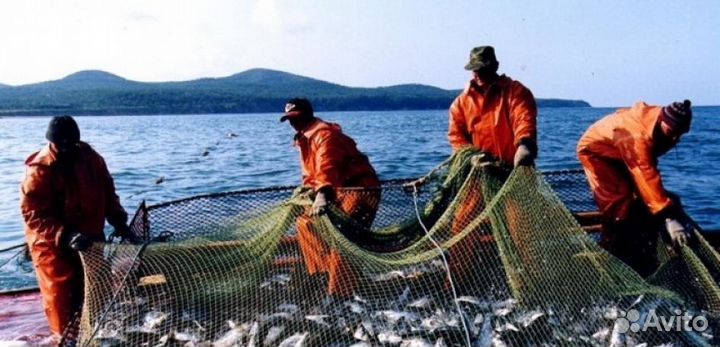 Рыбный завод, площадь зданий 2000 квм