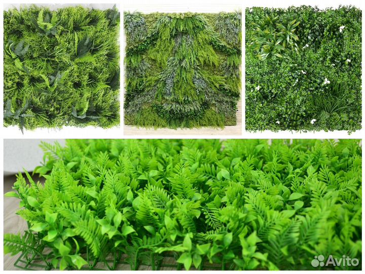Декоративная зелень: цветы, кусты и мох. Оптом