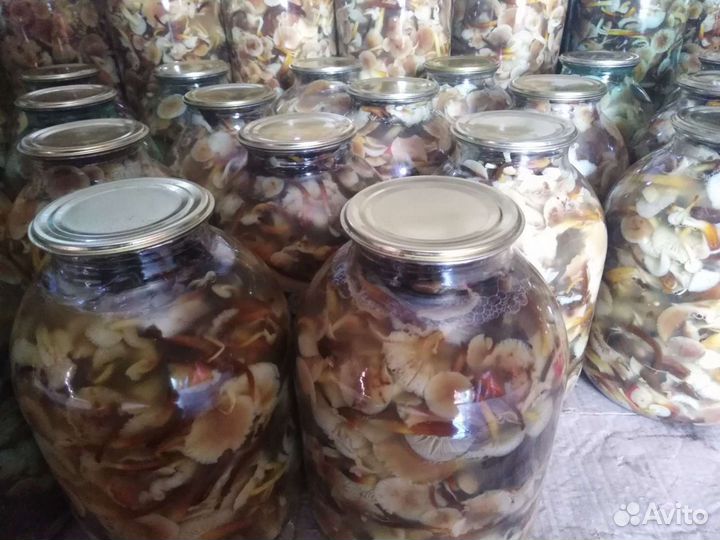 Маринованные Грибы Опята
