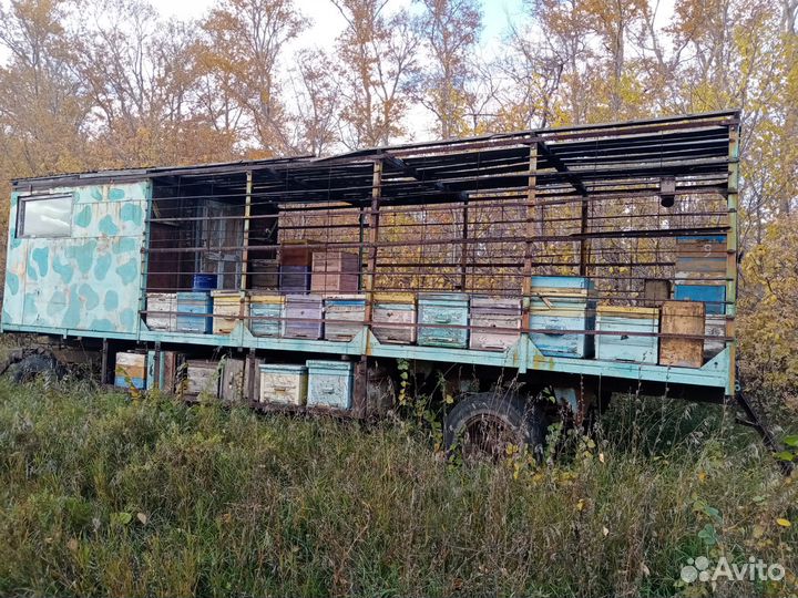 Пасека, платформа для перевозки пчел