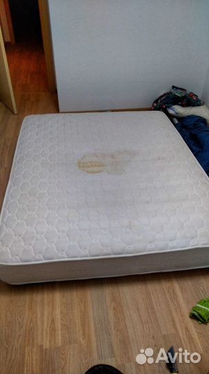 Аренда моющего пылесоса Karcher без залога