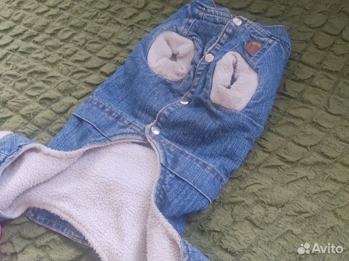 Одежда для маленьких собак бу