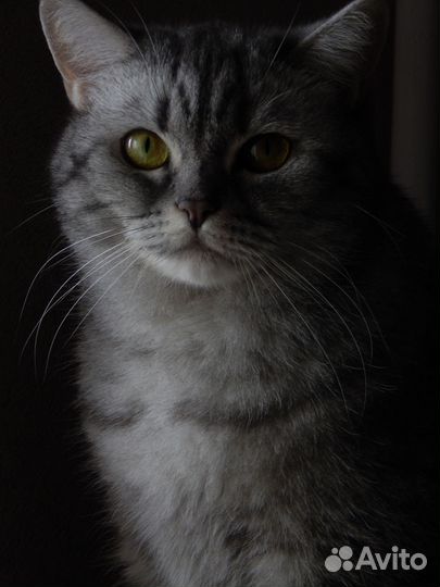 Фотоаппарат Nikon coolpix l820